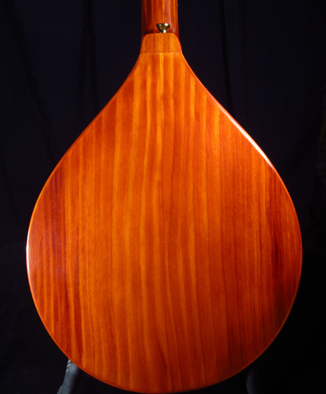 laughlin all douglas fir mandolin